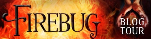Firebug BlogTour