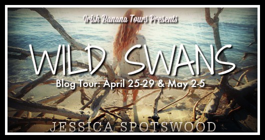 Wild Swans Tour Banner